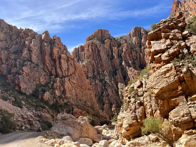 When Beauty Speaks Every Language: The Blyde River Canyon Experience