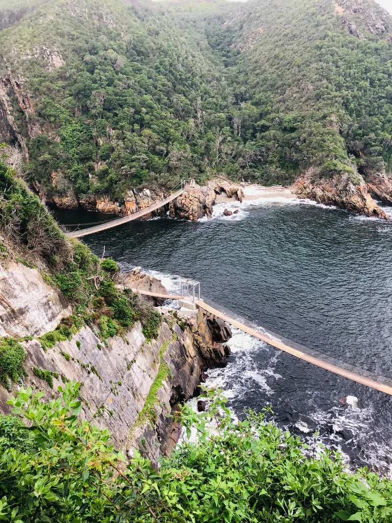 Suspension bridges garden route.DQQdblmn - Garden Route
